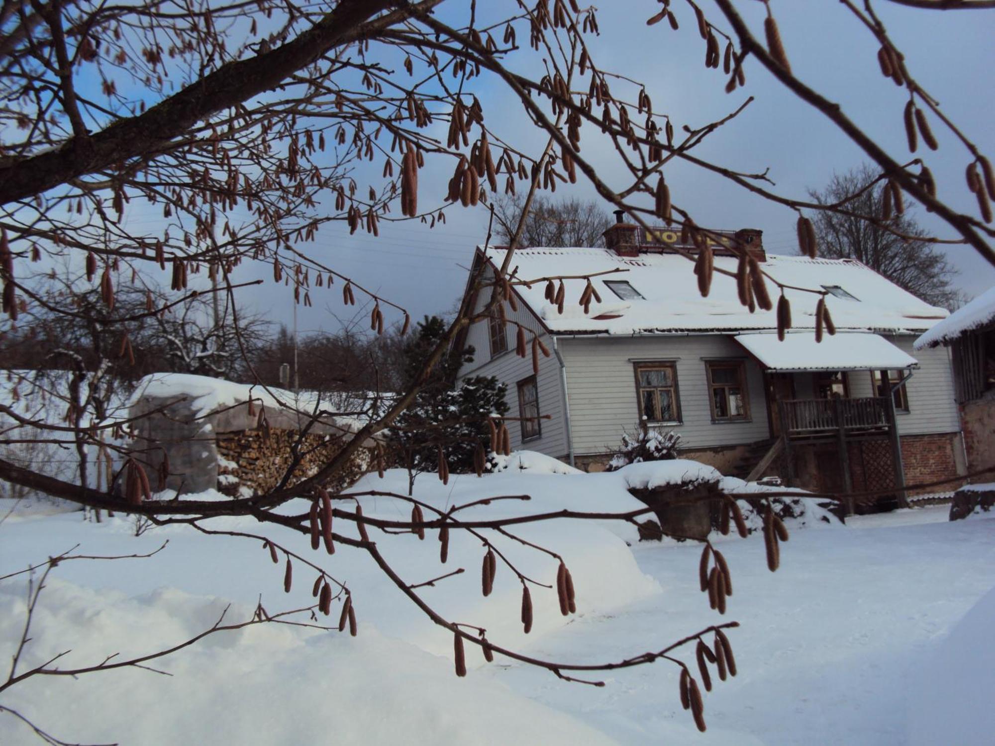 Saule Otel Talsi Dış mekan fotoğraf